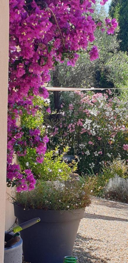 Готель La Bastide Aux Oliviers Турретт-сюр-Лу Екстер'єр фото