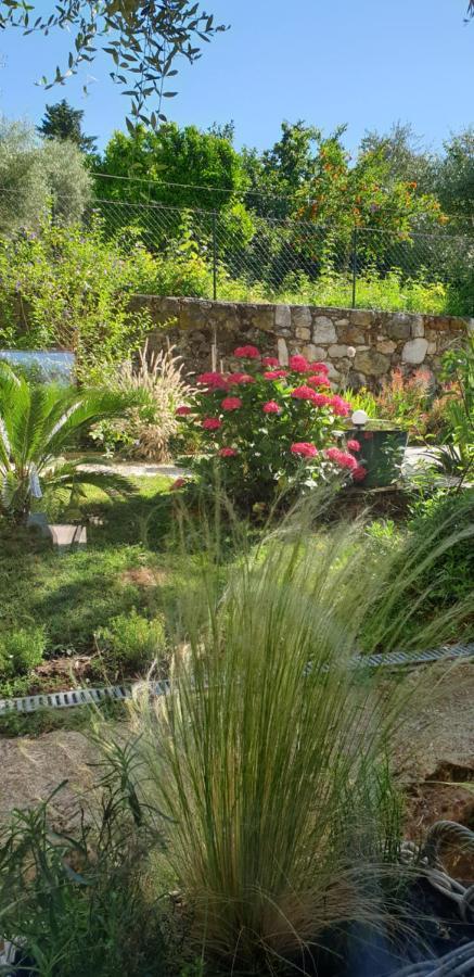 Готель La Bastide Aux Oliviers Турретт-сюр-Лу Екстер'єр фото