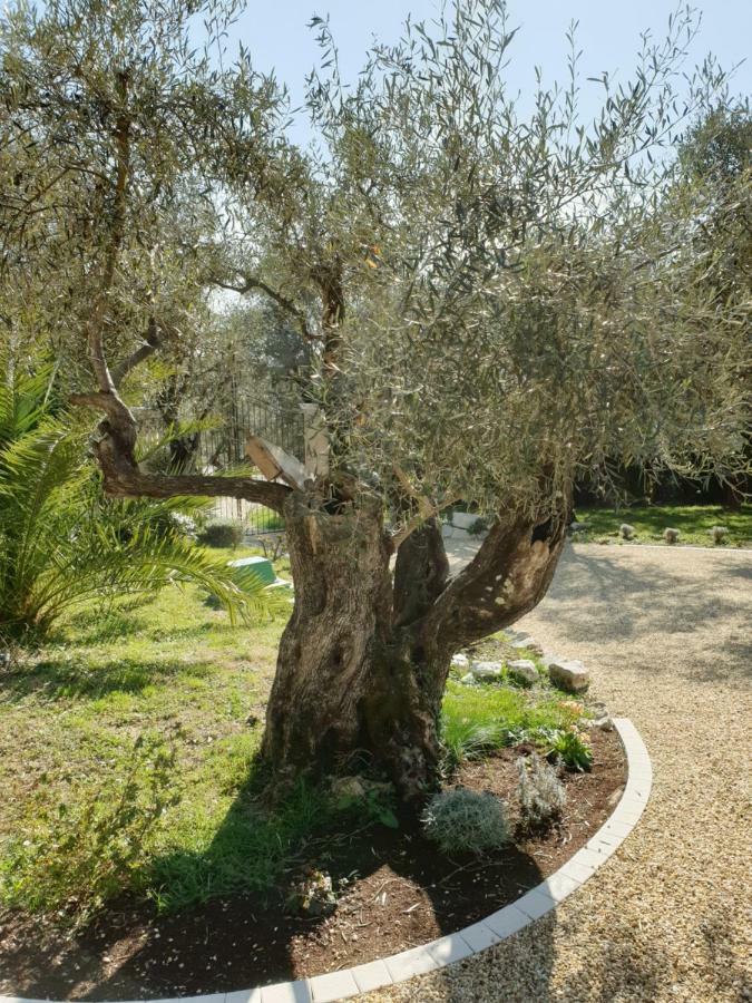 Готель La Bastide Aux Oliviers Турретт-сюр-Лу Екстер'єр фото